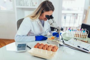 Cursus Ingénieur Microbiologie et Qualité – Quimper