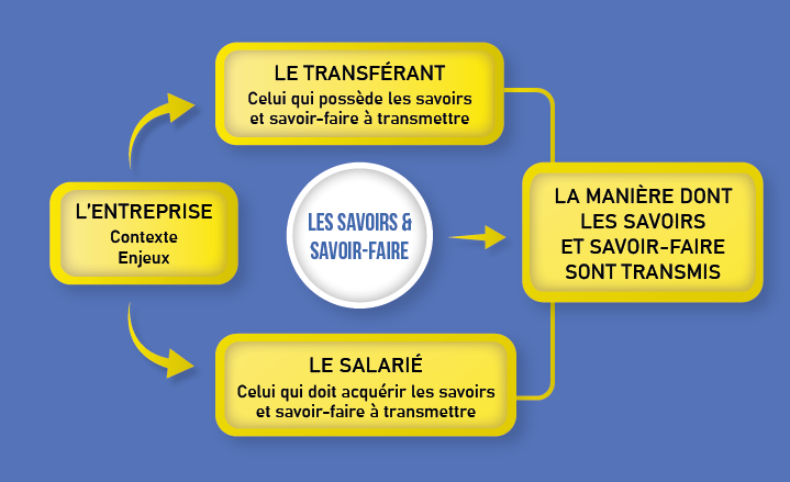 2026_Schéma TSF - IFRIA OUEST