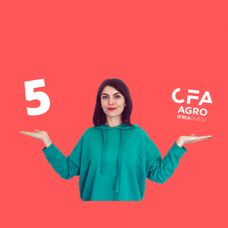 Licence Pro Qualité Management | IFRIA OUEST